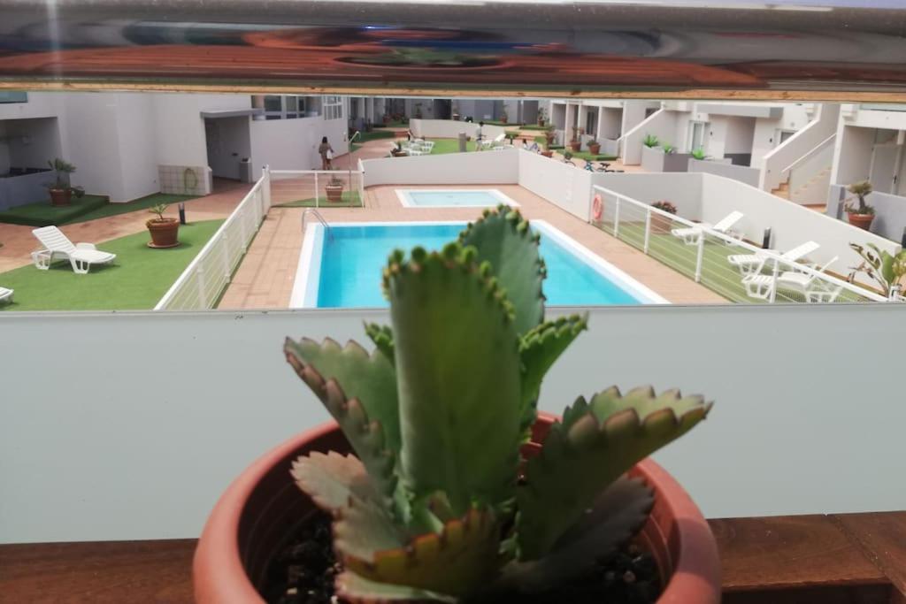 Ferienwohnung Blue Ocean Corralejo: Sunny Terrace, Pool, Wifi Exterior foto