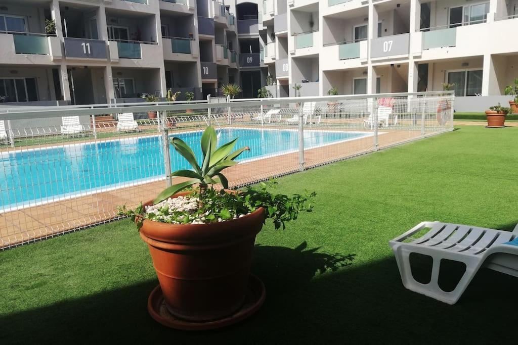 Ferienwohnung Blue Ocean Corralejo: Sunny Terrace, Pool, Wifi Exterior foto